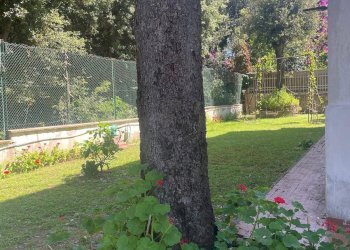 Foto 7 - Villa via delle petunie, Anzio - photo 7