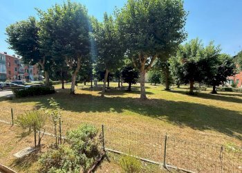 Giardino - Trilocale via dei Platani, 2, Torino (zona Falchera) - foto 4