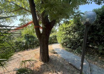 Foto 26 - Villa Via Privata del Poggio
 
39, Cervo - photo 26