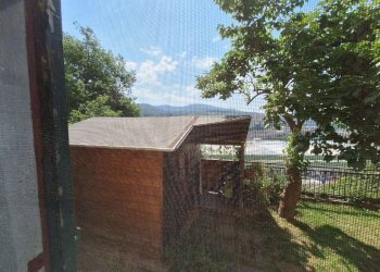 whatsapp image 2026-06-26 at 12.30.31 - Three-room apartment passo Dei Barabini, Genova (neighborhood Bolzaneto) - photo 3