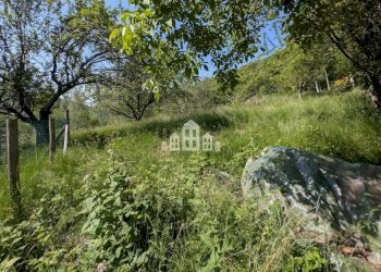 Terreno - Rustico Regione Vailetto, SNC, Rueglio - foto 13