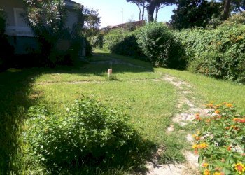 Giardino - Villa via dei Garofani, 6, Anzio - photo 5
