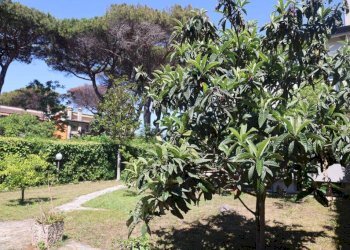 Giardino - Villa via dei Garofani, 6, Anzio - photo 15
