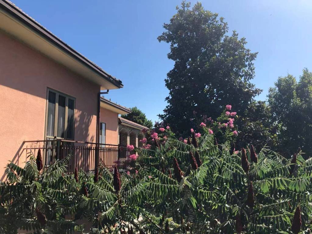 Giardino - Villa strada San Pietro, Nizza Monferrato - photo 2