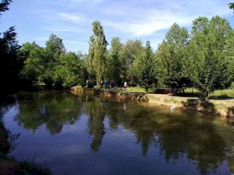 Zona - Villa strada San Pietro, Nizza Monferrato - photo 3