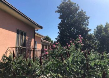 Giardino - Villa strada San Pietro, Nizza Monferrato - foto 2
