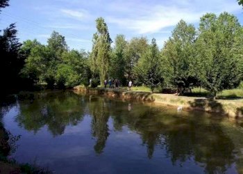 Zona - Villa strada San Pietro, Nizza Monferrato - foto 3