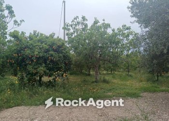 Terreno - Villa Bommiscuro SNC, Noto - photo 21