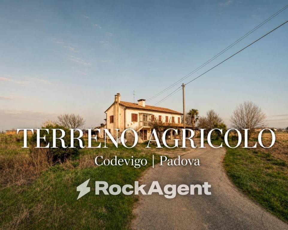Terreno - Agricultural land via Bosco, 29, Codevigo - photo 1