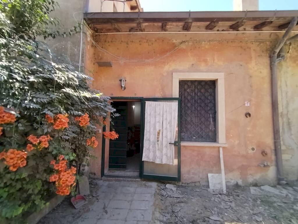 Giardino - Trilocale via di Piana Bella, Roma (zona Lido di Ostia) - foto 3