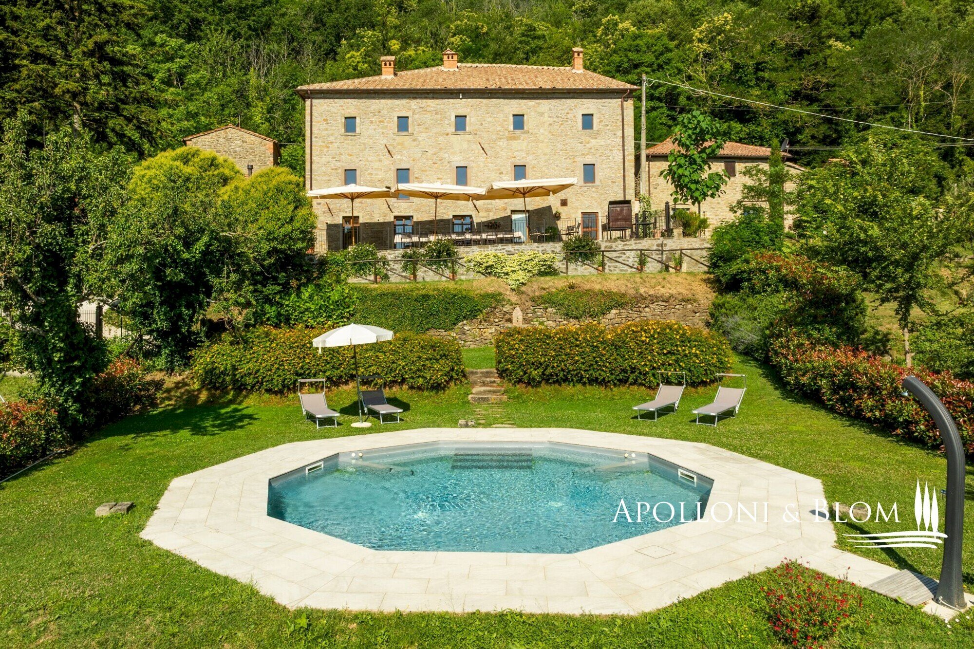 Casale case sparse teverina, 14, Cortona - foto 2