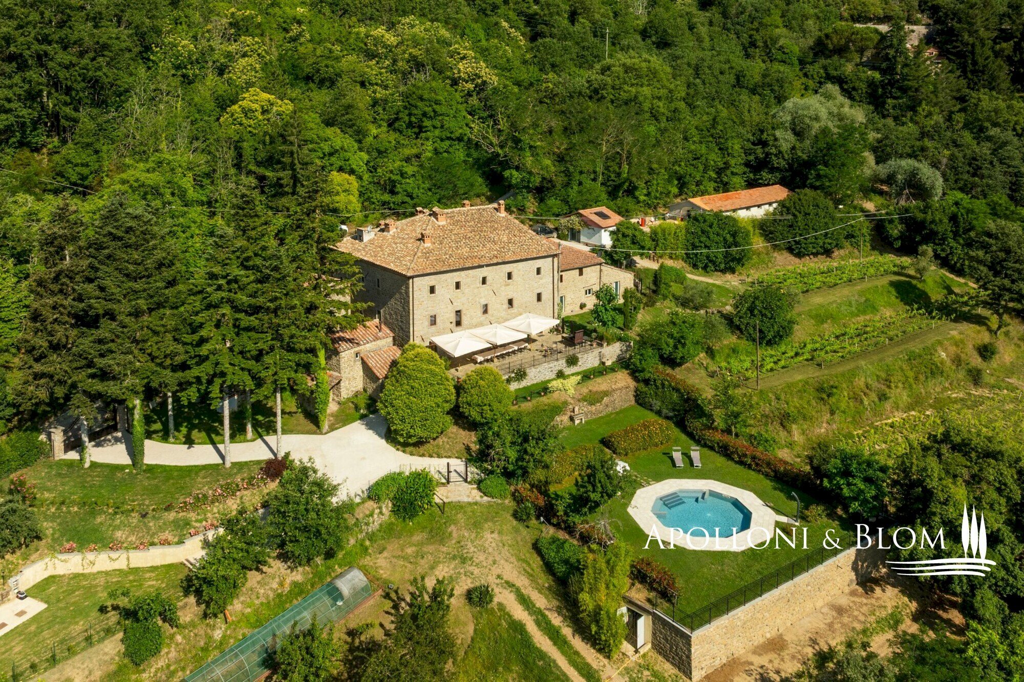 Casale case sparse teverina, 14, Cortona - foto 3