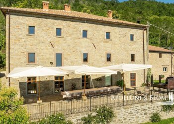 Casale case sparse teverina, 14, Cortona - foto 40
