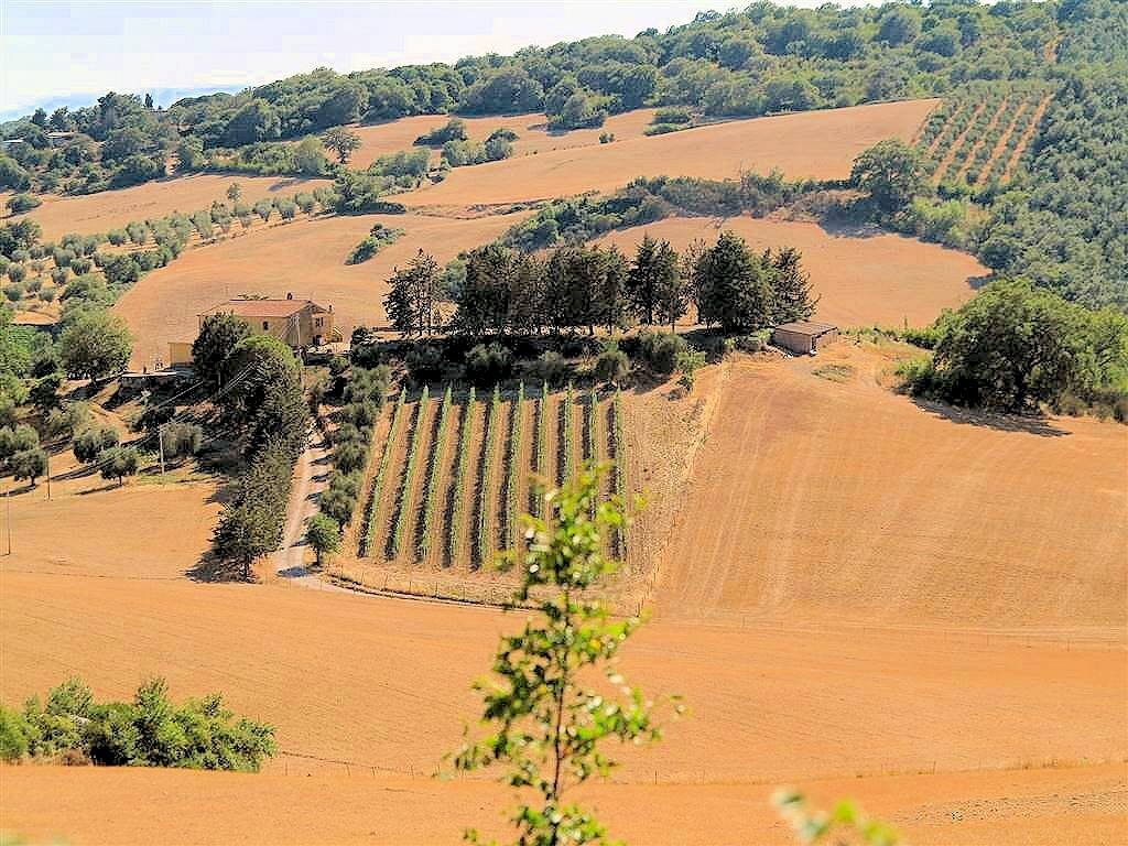 Foto 3 - Rustico Strada Provinciale 323 Pereta, Magliano in Toscana - foto 3