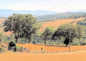 Foto 4 - Rustico Strada Provinciale 323 Pereta, Magliano in Toscana - foto 4