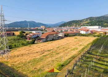 Terreno - Rustico via Papò, Verzuolo - foto 22