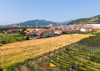 Terreno - Rustico via Papò, Verzuolo - foto 23