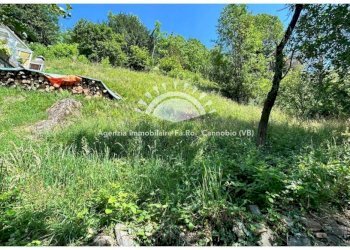 Terreno - Terreno edificabile via Grè, Valle Cannobina - foto 1