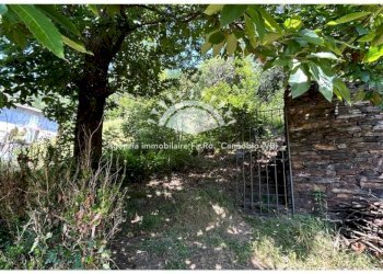 Terreno - Terreno edificabile via Grè, Valle Cannobina - foto 4