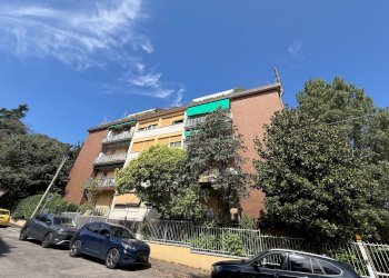 Terreno non edificabile Via Molinelli, 11, Bologna (zona Murri) - foto 11