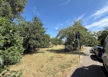 Terreno non edificabile Via Molinelli, 11, Bologna (zona Murri) - foto 13
