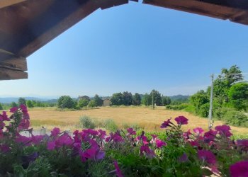 Small Villa Località San Giacomo, Rocca Grimalda - photo 28