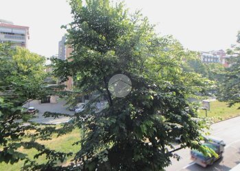 Three-room apartment Via Onorato Vigliani, Torino (neighborhood Mirafiori Sud) - photo 16