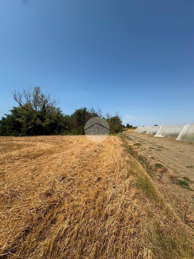 Terreno agricolo Via Campone Sala, Cesenatico - foto 1