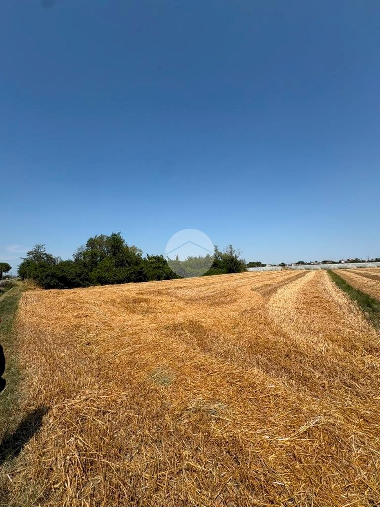 Terreno agricolo Via Campone Sala, Cesenatico - foto 3