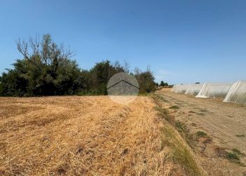 Terreno agricolo Via Campone Sala, Cesenatico - foto 1