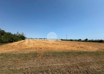 Terreno agricolo Via Campone Sala, Cesenatico - foto 2