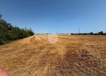 Terreno agricolo Via Campone Sala, Cesenatico - foto 4