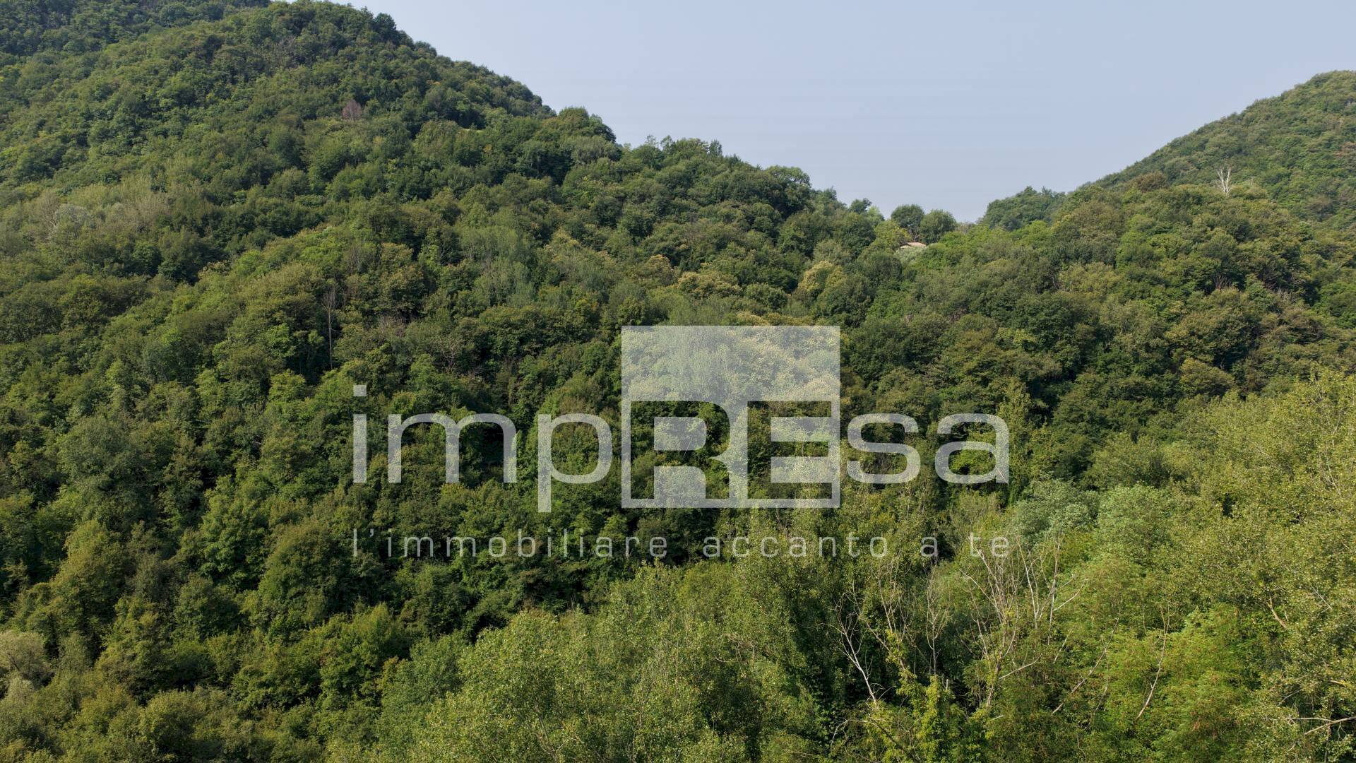 Foto 2 - Terreno agricolo via Col Torondo, Monfumo - foto 2