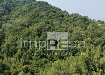 Foto 1 - Terreno agricolo via Col Torondo, Monfumo - foto 1