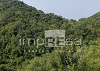 Foto 2 - Terreno agricolo via Col Torondo, Monfumo - foto 2