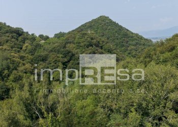 Foto 4 - Terreno agricolo via Col Torondo, Monfumo - foto 4