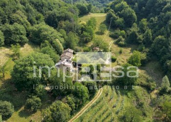 Foto 10 - Terreno agricolo via Col Torondo, Monfumo - foto 10
