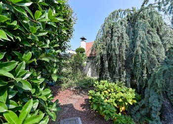 Giardino - Four-room apartment Bartolomeo Colleoni
 
21, Gallarate - photo 31
