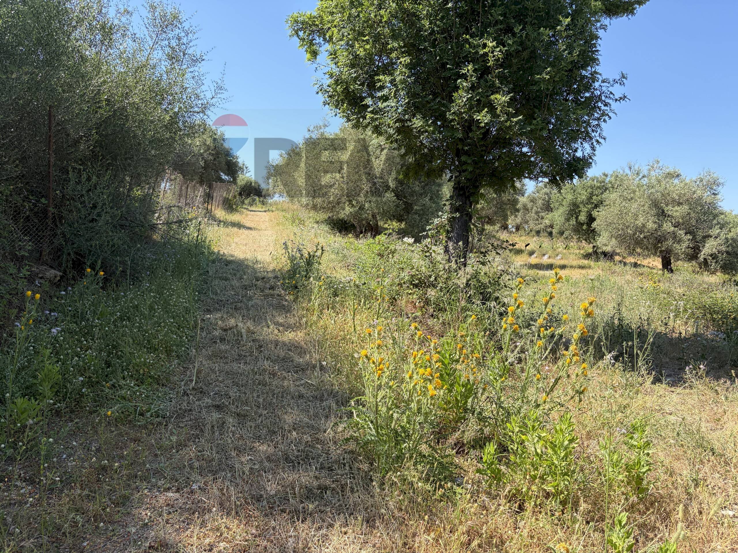 Giardino - Building land CONTRADA SANT'ONOFRIO
 
1, Trabia - photo 3