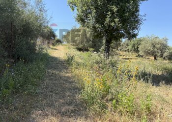 Giardino - Building land CONTRADA SANT'ONOFRIO
1, Trabia - photo 3
