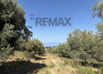Giardino - Building land CONTRADA SANT'ONOFRIO
1, Trabia - photo 4