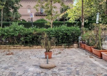 Giardino - Locale Commerciale via della Libertà
 
159, Palermo - foto 3