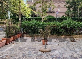Giardino - Locale Commerciale via della Libertà
 
159, Palermo - foto 10