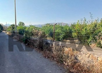 Edificio all\'aperto - Terreno agricolo Via San Marco
7, Calatabiano - foto 8