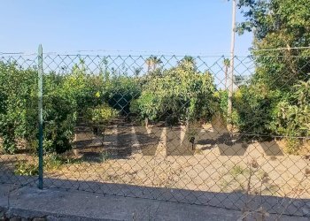 Giardino - Terreno agricolo Via San Marco
7, Calatabiano - foto 11