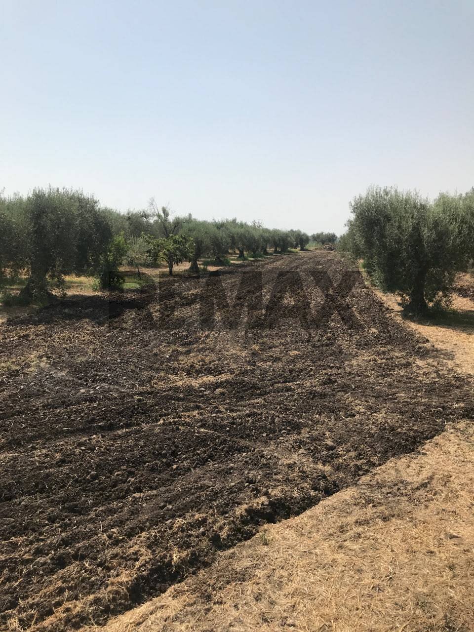 Giardino - Terreno agricolo Contrada Spina Santa
 
s.n.c., Belpasso - foto 1
