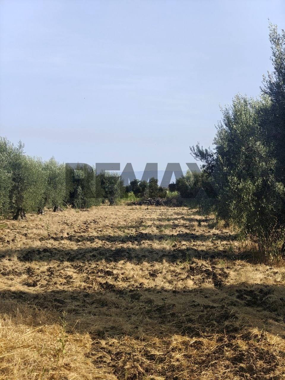 Vista delle montagne - Terreno agricolo Contrada Spina Santa
s.n.c., Belpasso - foto 3