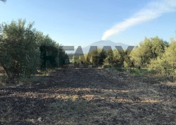 Vista delle montagne - Terreno agricolo Contrada Spina Santa
s.n.c., Belpasso - foto 2