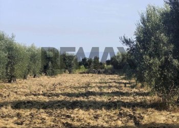 Vista delle montagne - Terreno agricolo Contrada Spina Santa
s.n.c., Belpasso - foto 3