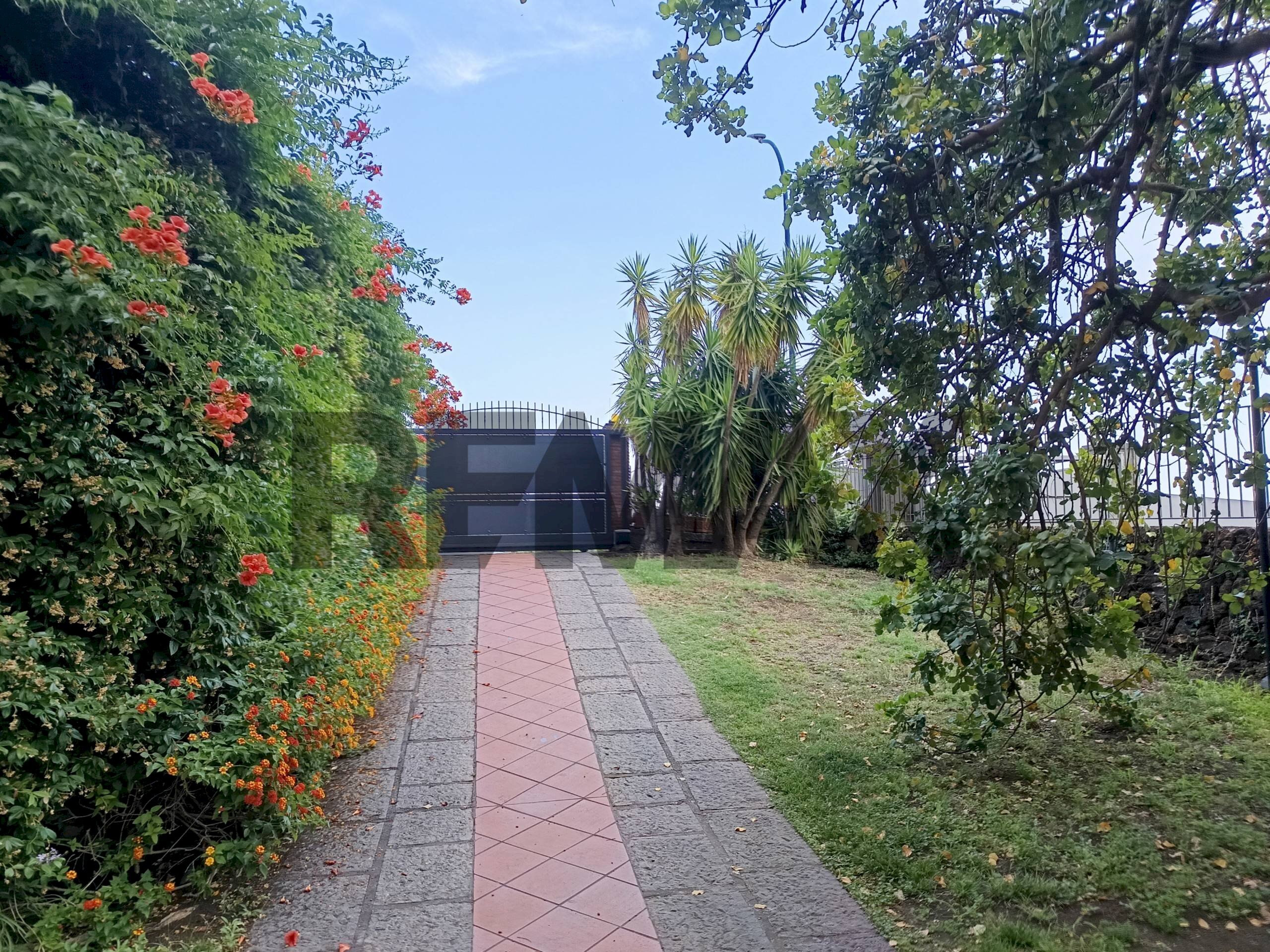 Giardino - Office Via Alcide de Gasperi
 
16, Pedara - photo 3
